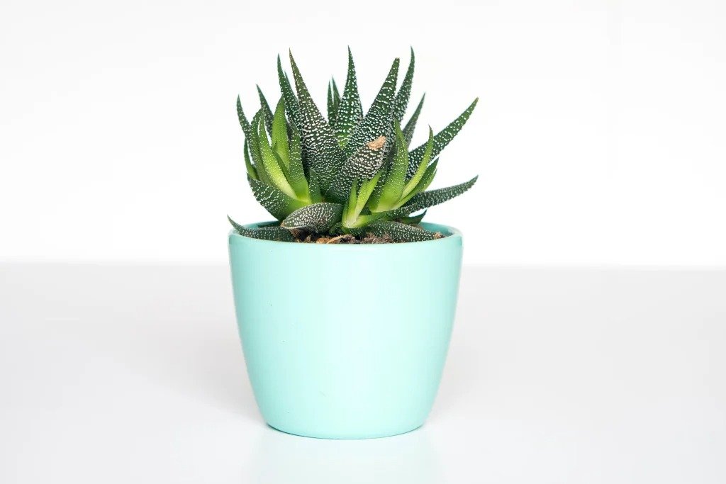 Mobile App Prototype